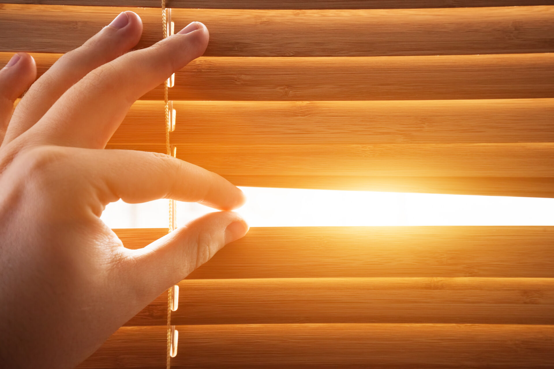 Looking through window blinds, sun light coming inside. Wholesale Blind Factory