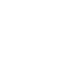 Tesla Logo: Electric Vehicle Innovation