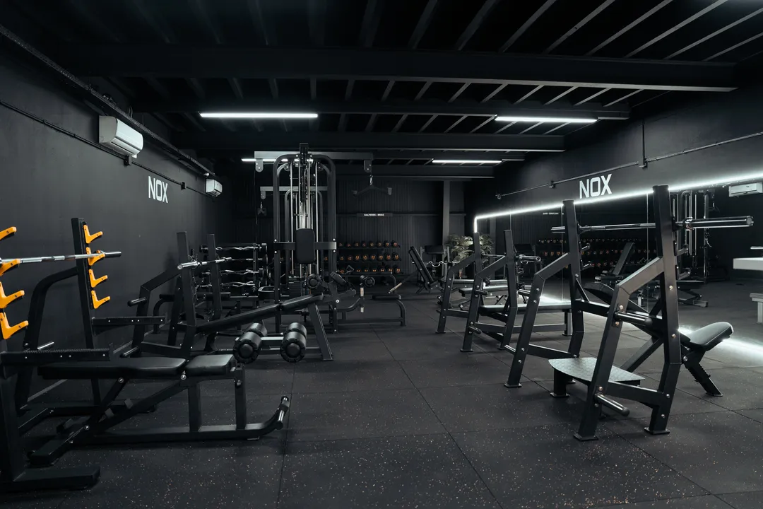 Musculation