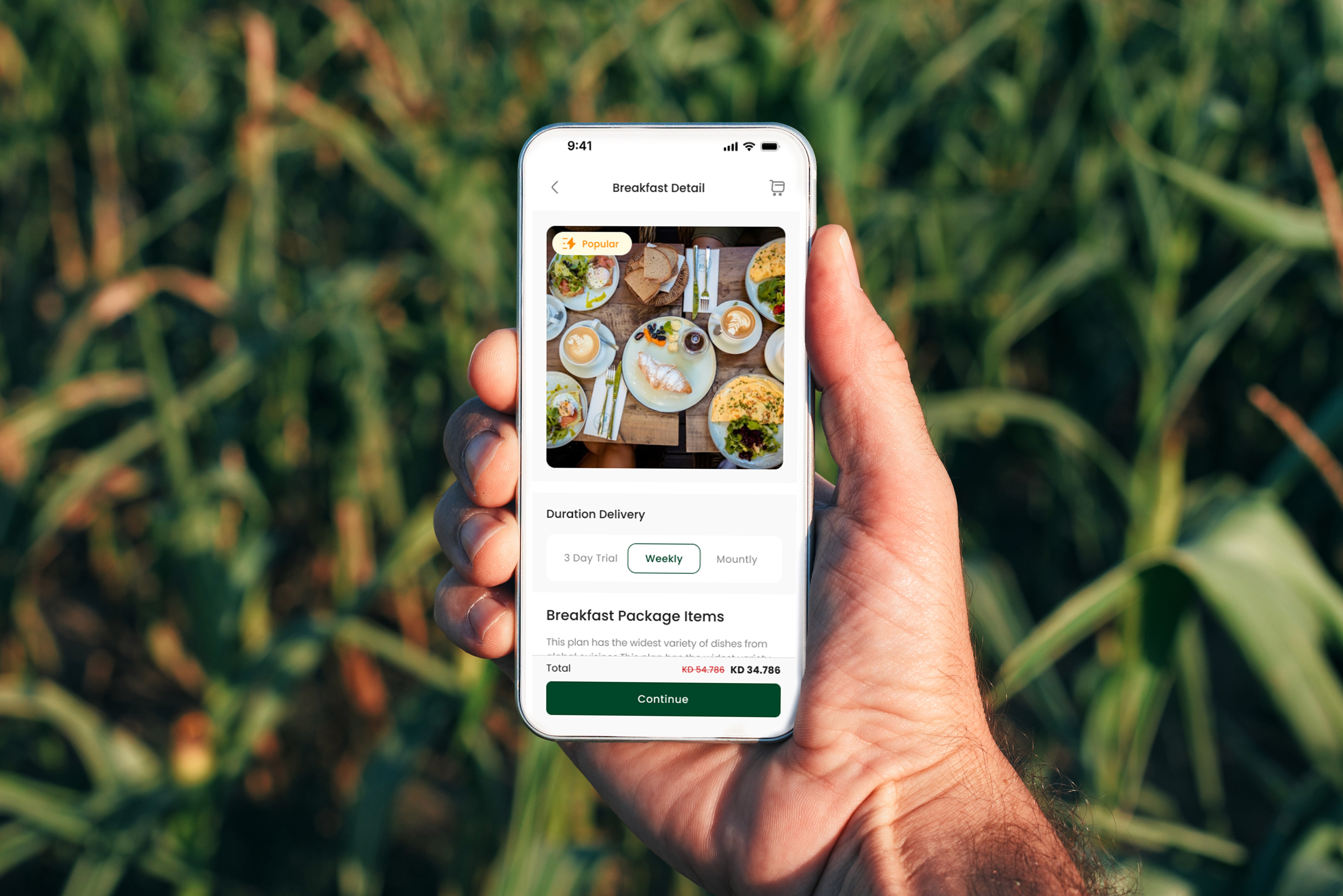 User browsing healthy food mobile app designed by Nizek