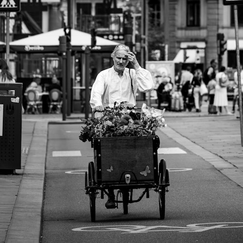 מקום חדש של המלך.