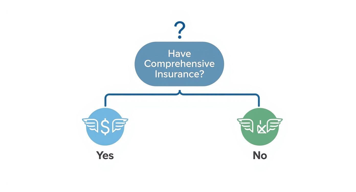 Infographic about cost to repair chipped windshield