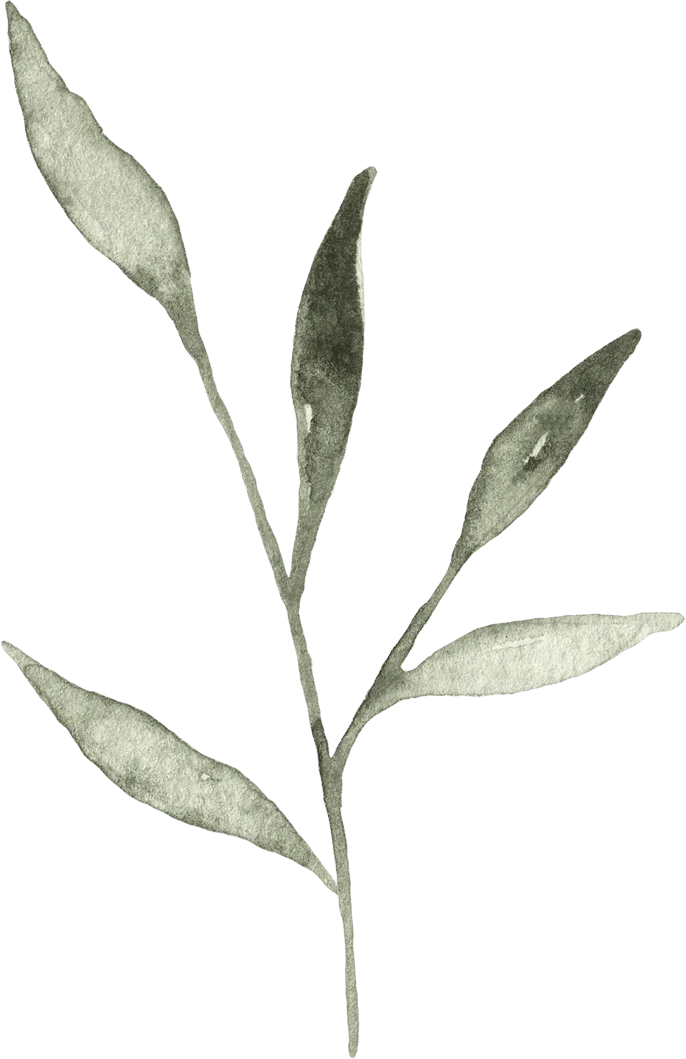 Watercolor twig_03