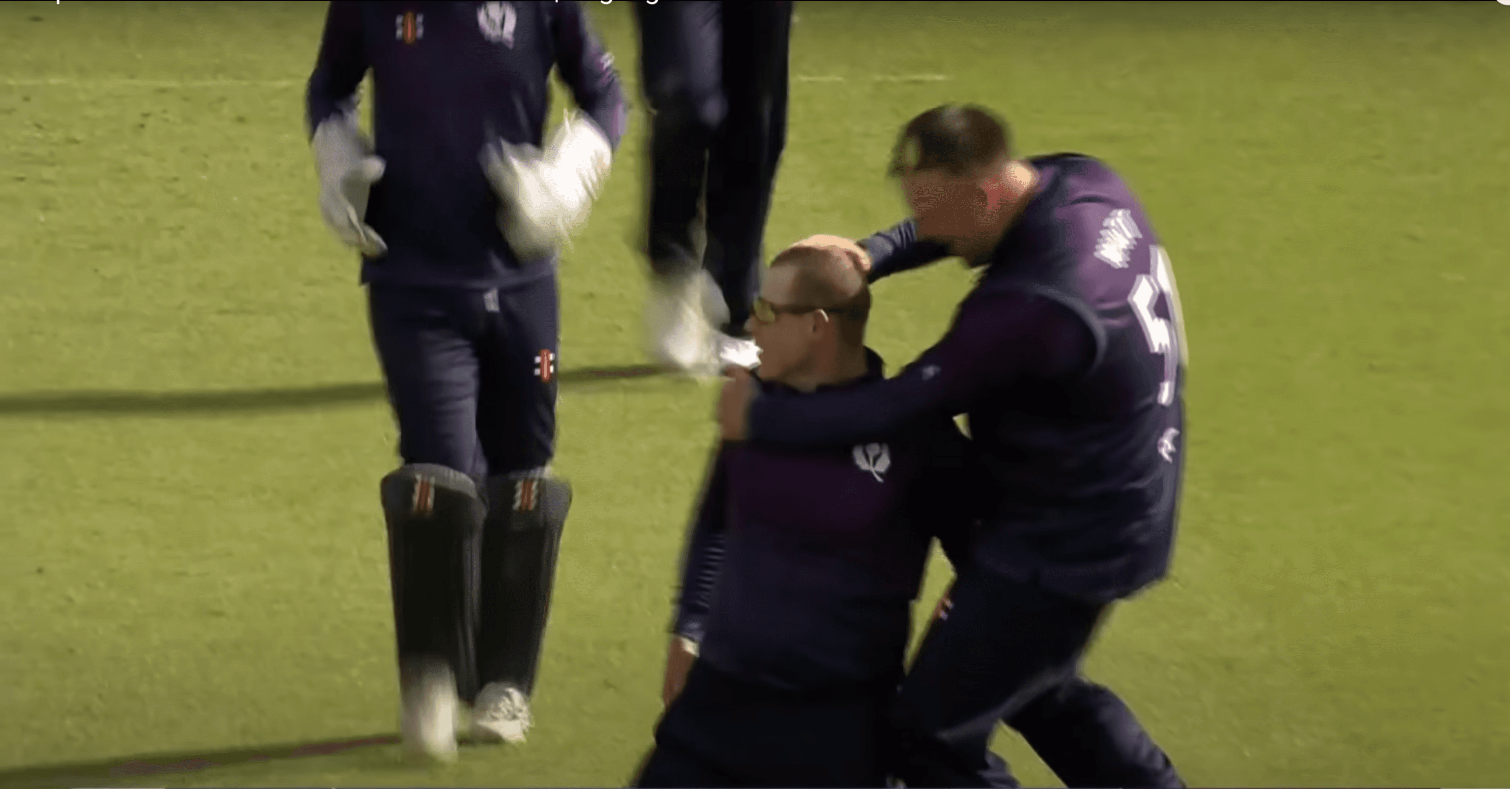 crowd of people sitting on stadium seats