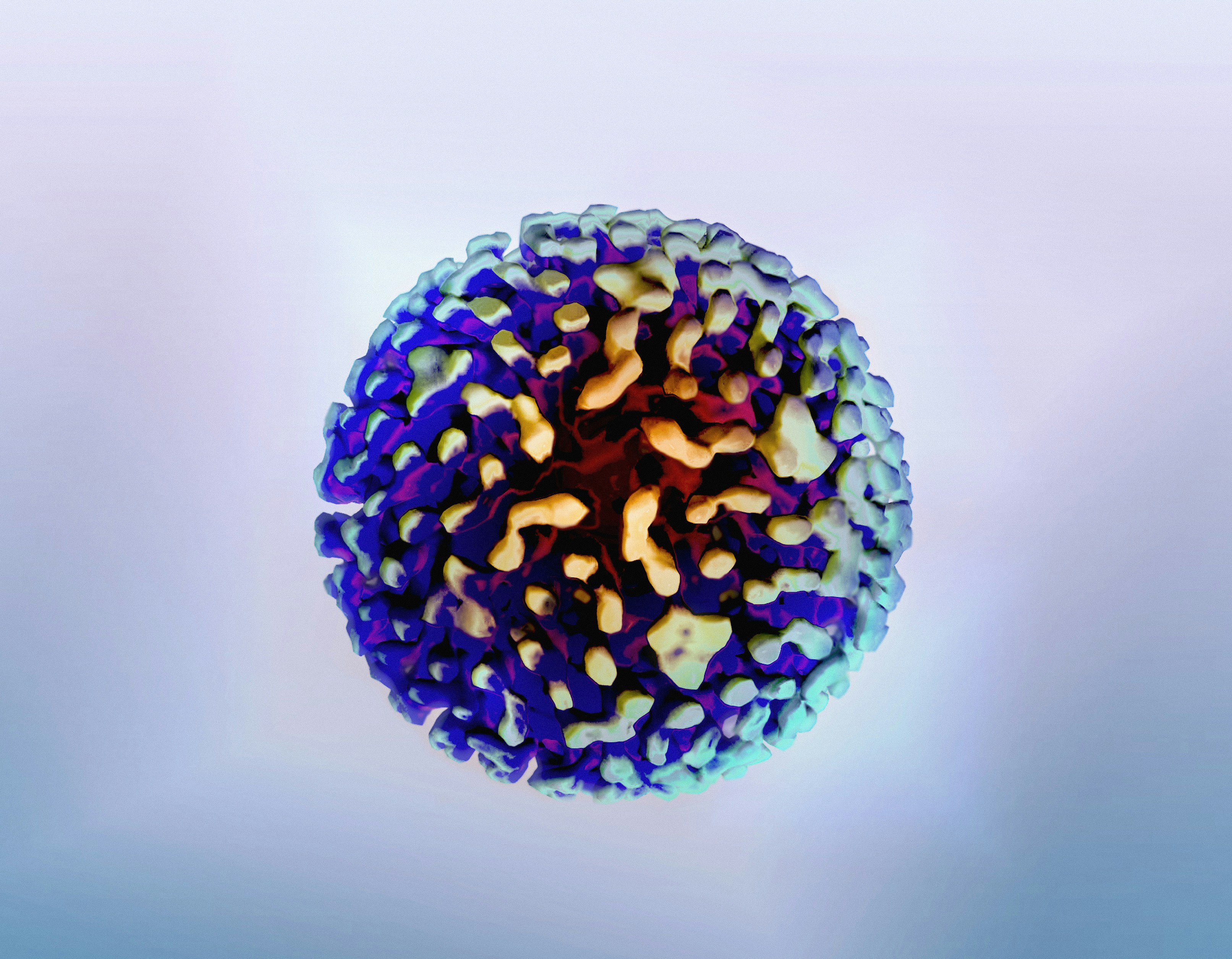 Hepatitis A Virus