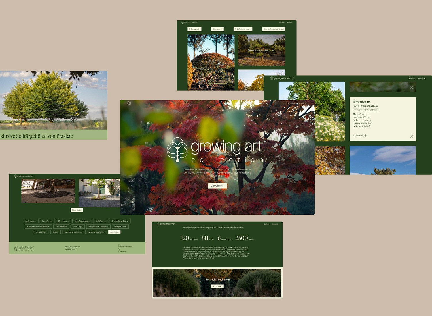 Handy auf dem eine Social Media Werbung zu sehen ist, wo sieh zwei Personen die Hand reichen.