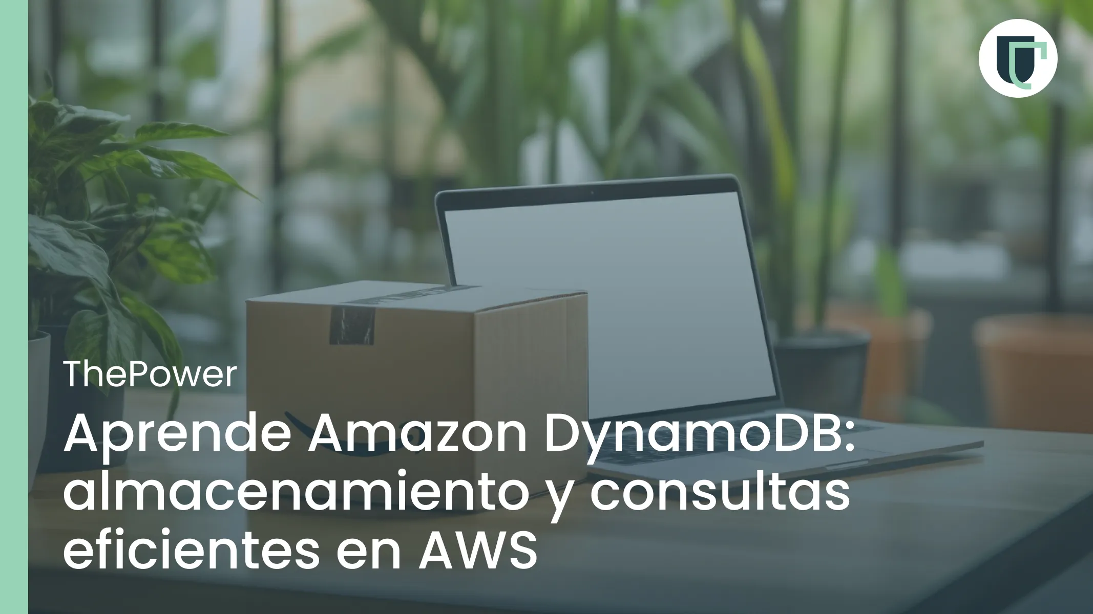 Aprende Amazon DynamoDB: almacenamiento y consultas eficientes en AWS