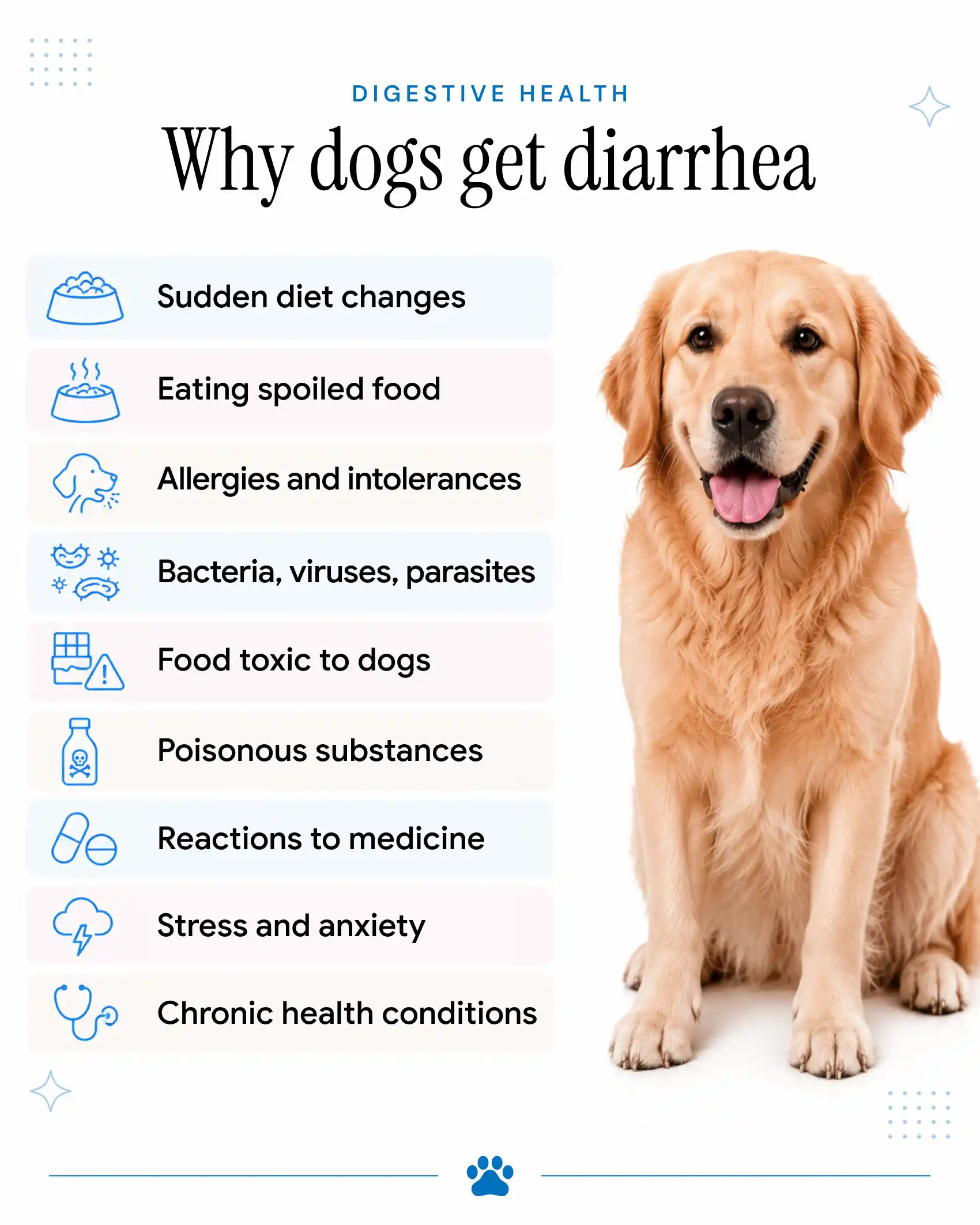 An infographic showing the common causes of diarrhea in dogs.