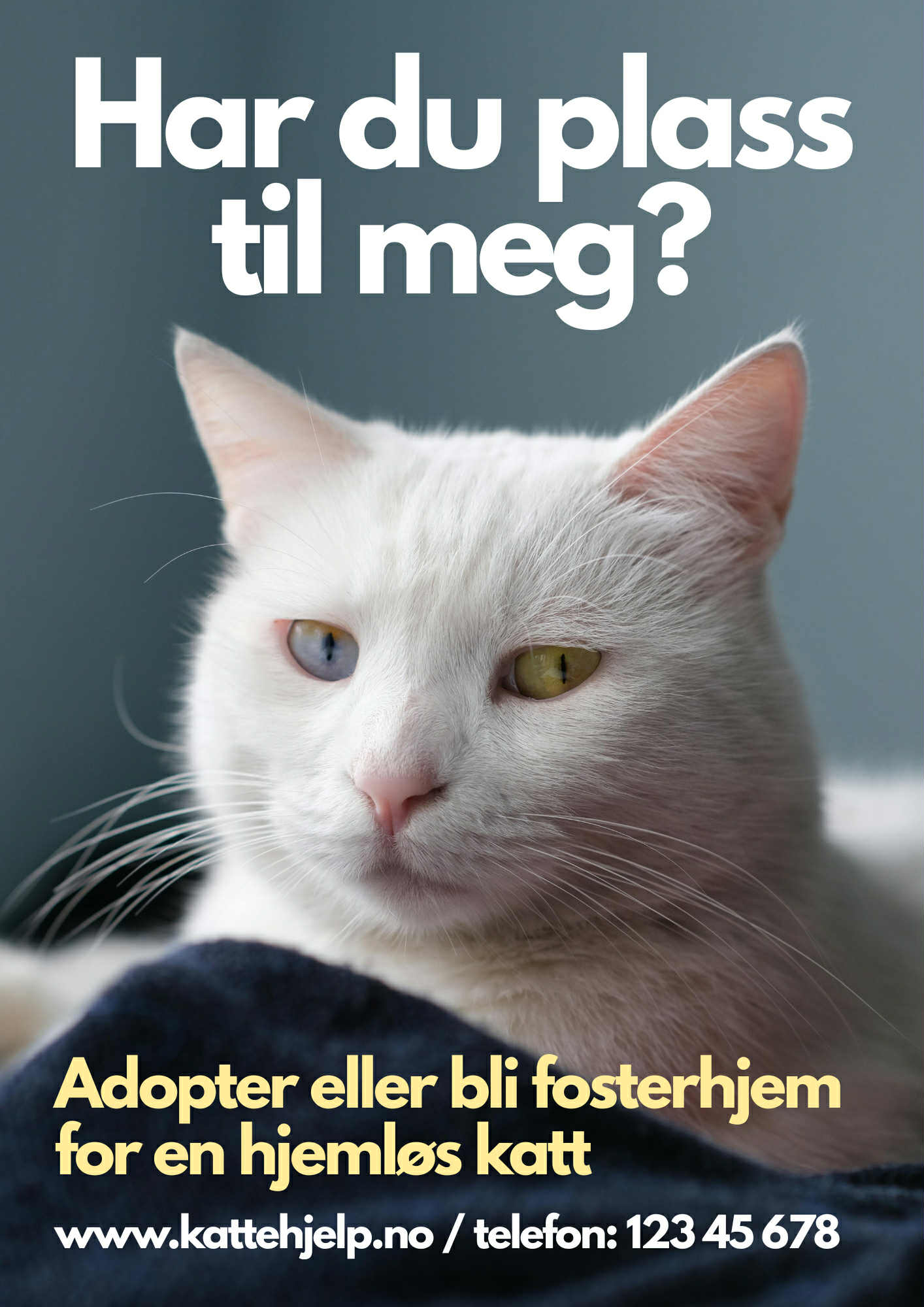 Scoop game success screen