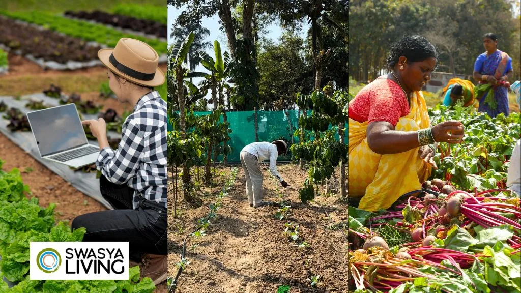 Different Types of Farming