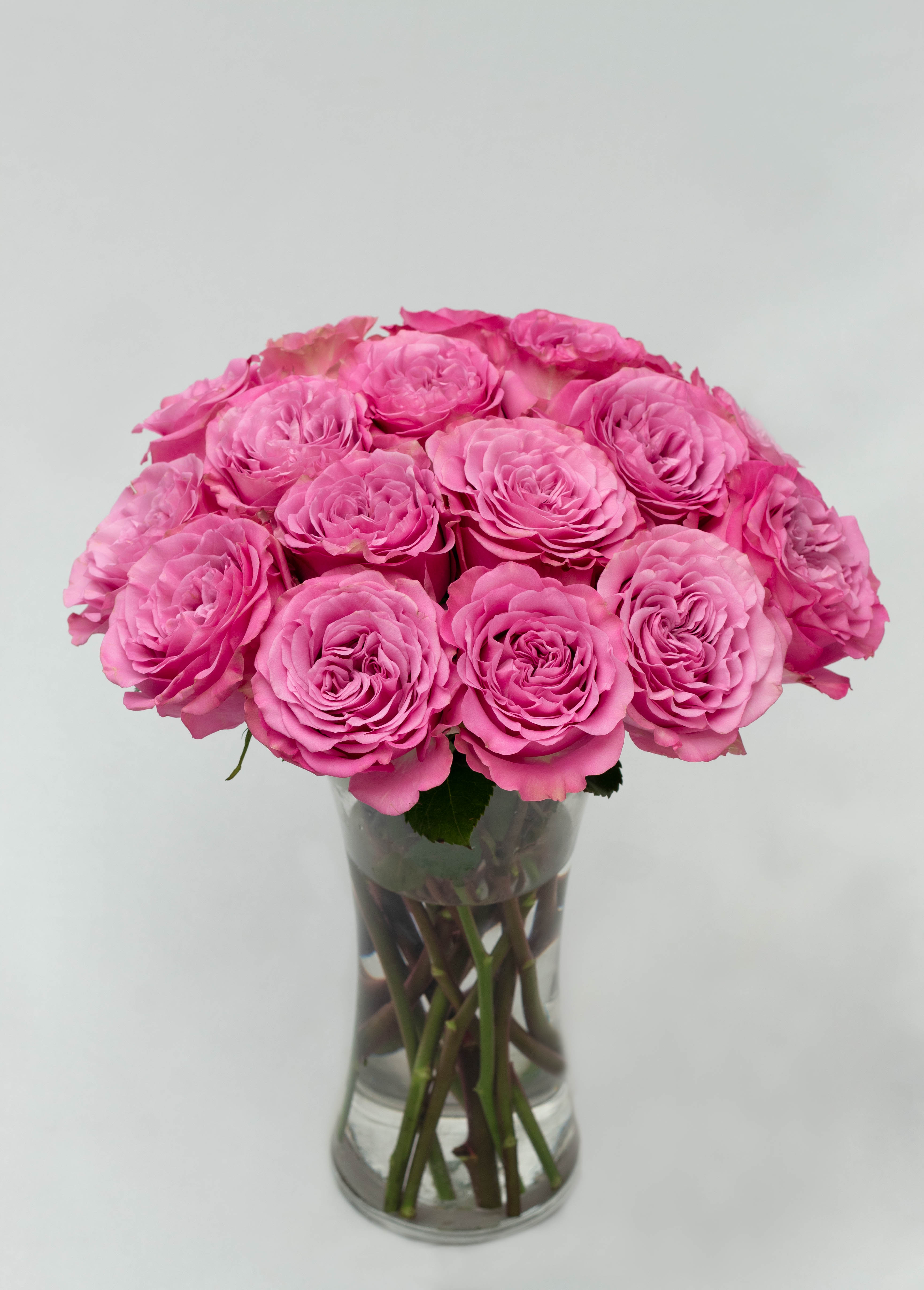 Image of Futuristic dining area
