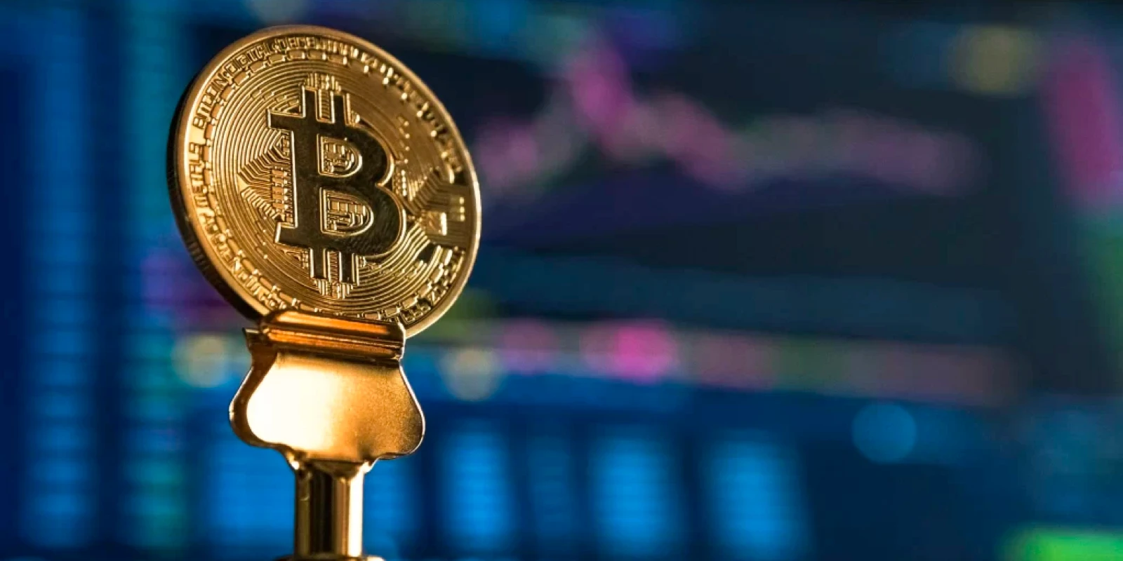 دليل المبتدئين إلى Blockchain
