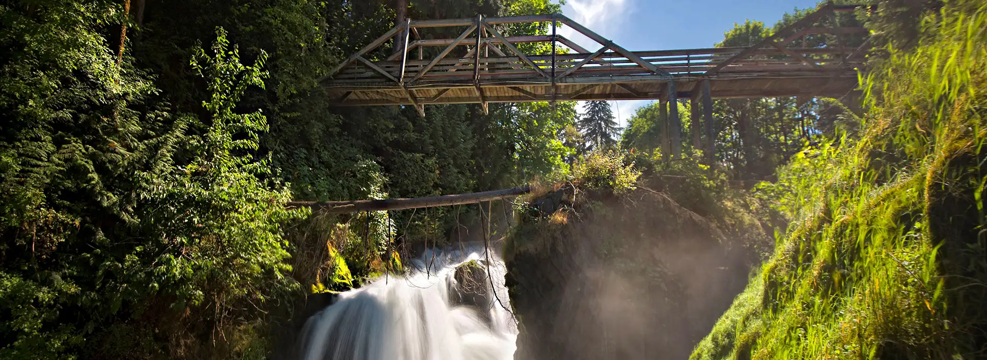 An image of Tumwater Falls. The waterfall takes up the bottom portion of the image and it swerves around a large boulder in the midground. There is a wooden walking outlook bridge that rests around 10 feet above the water. There is lush lime green foliage that surrounds the image with some coniferous trees.