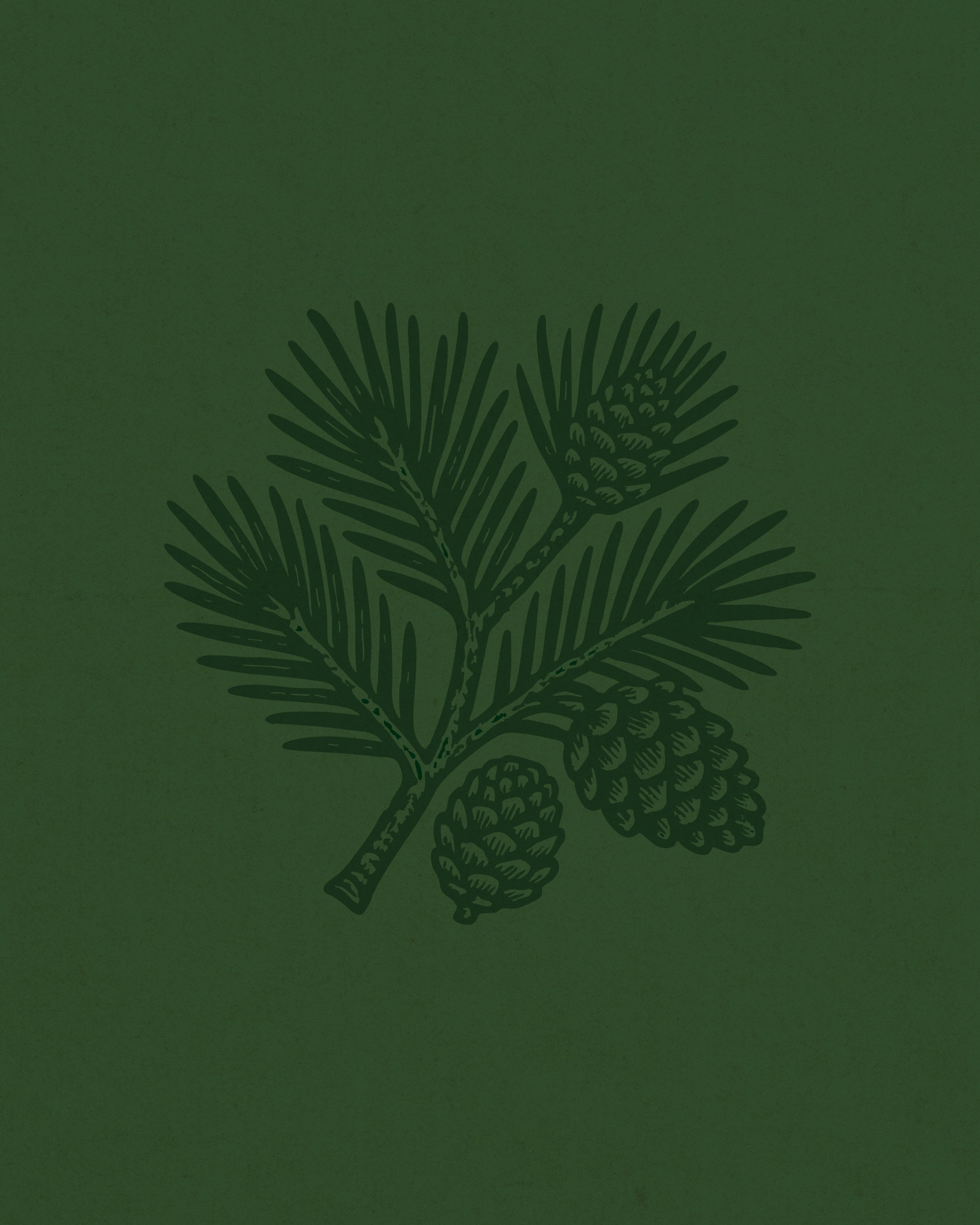 Illustrated pine branch and cone graphic in green