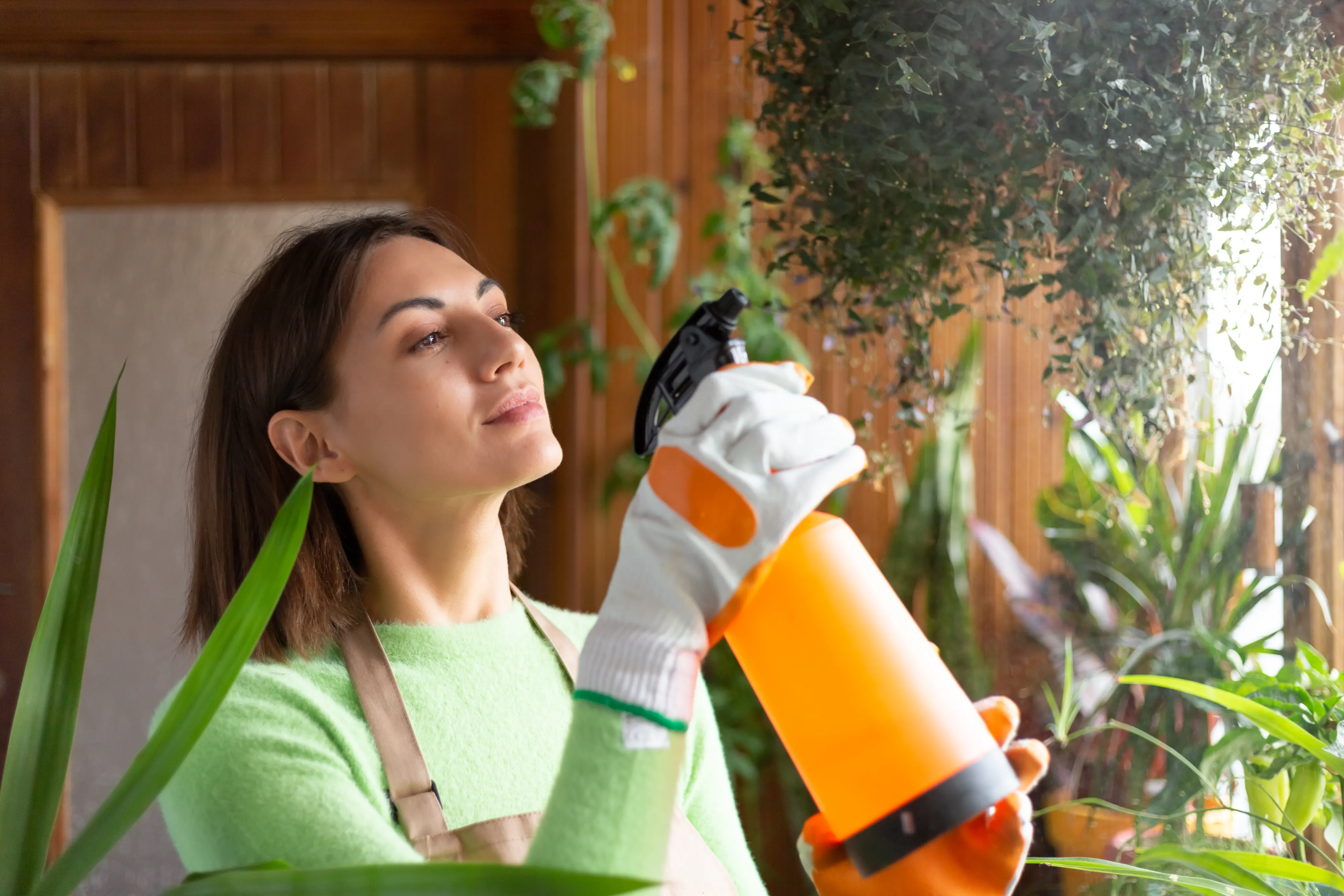 A woman using a spray bottle to mist indoor house plants as part of an eco-friendly home maintenance routine.