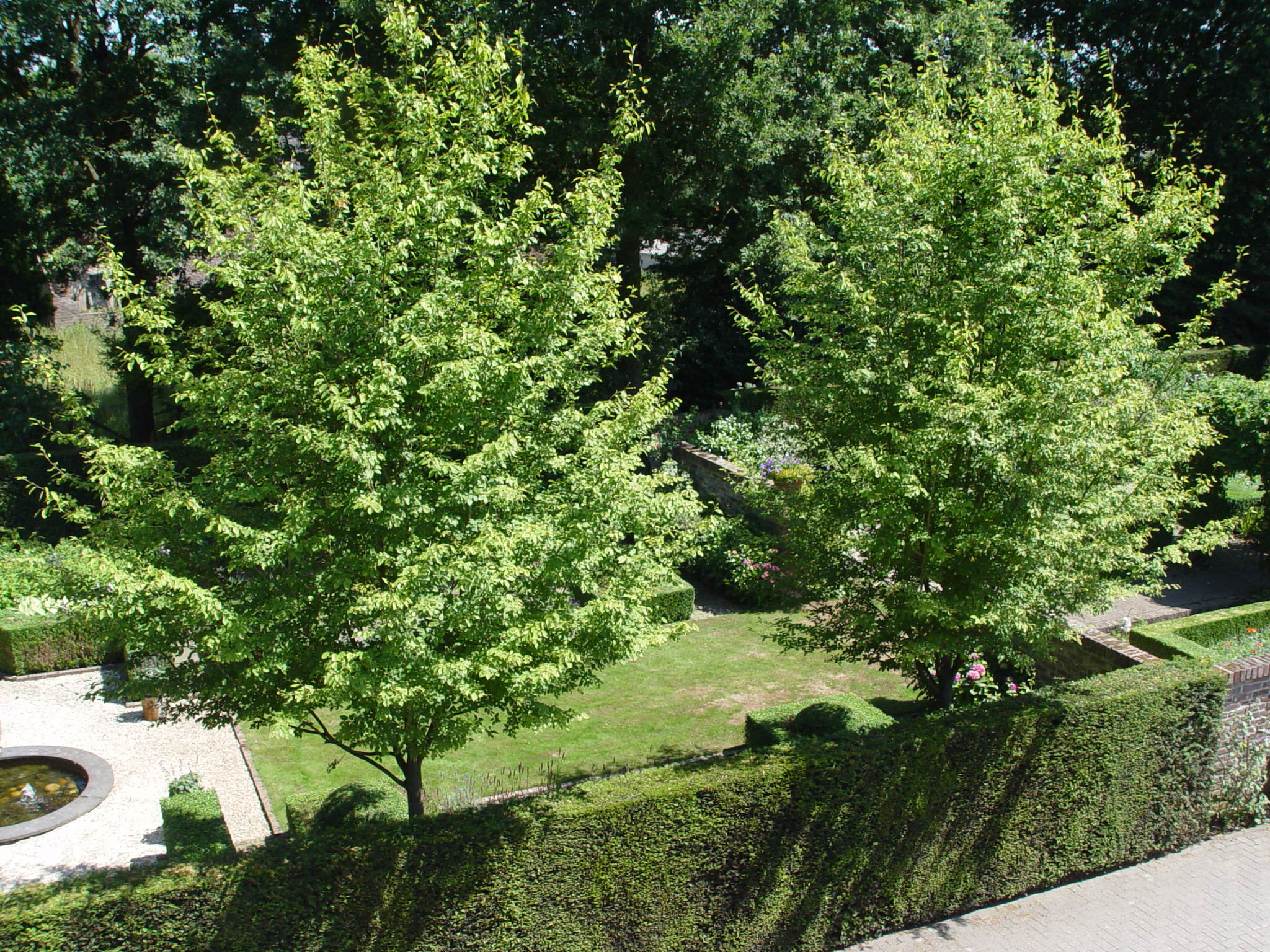 Beautiful landscaped garden with greenery and outdoor design elements.