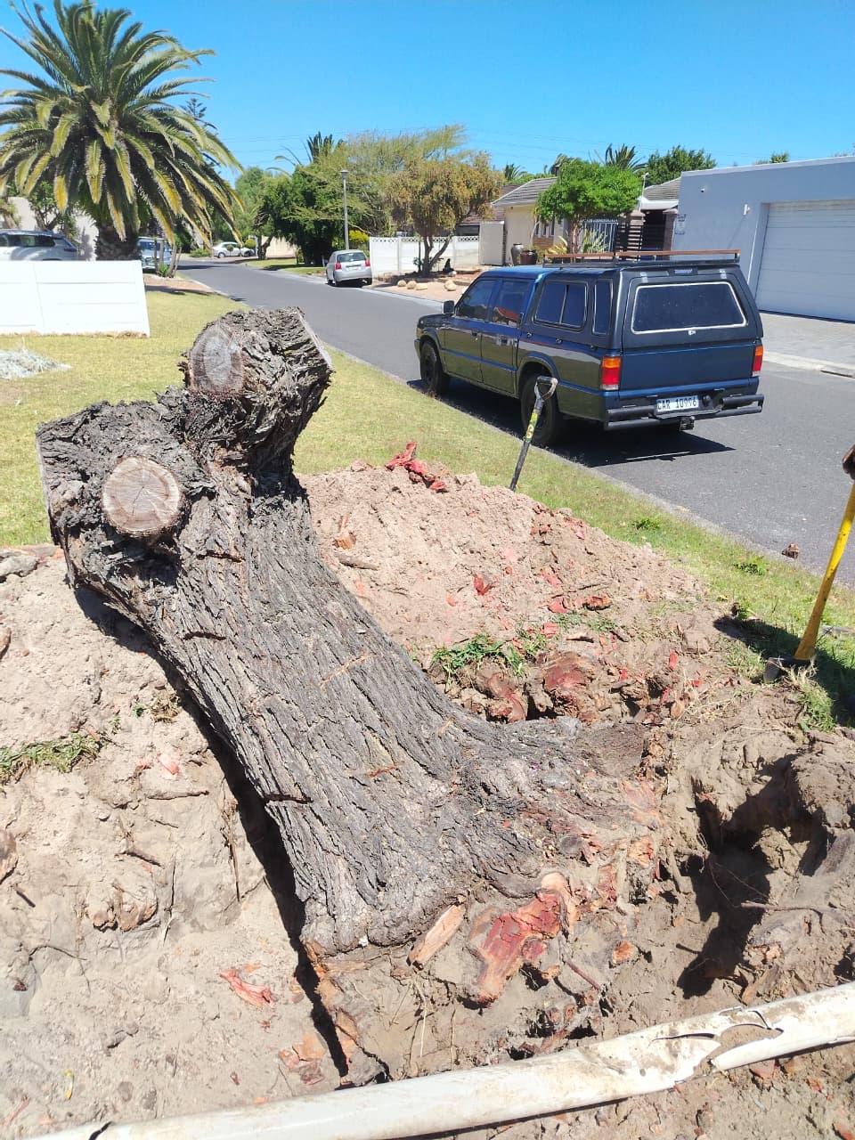 Stump Removals Service