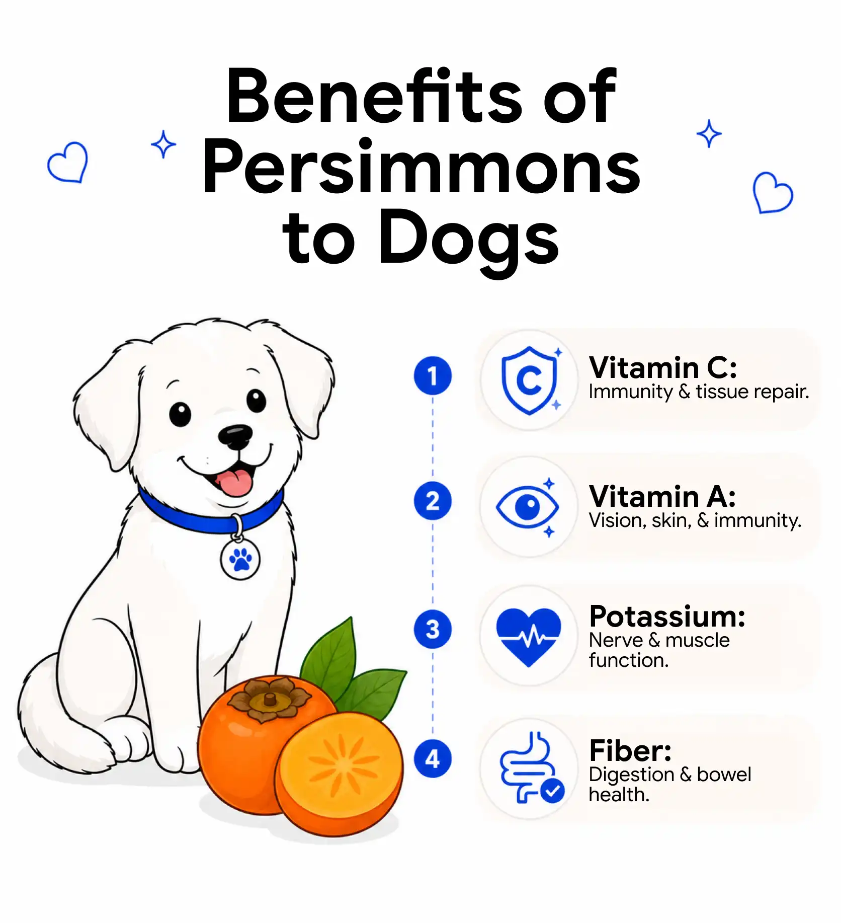 An infographic illustrating the benefits of persimmons to dogs.