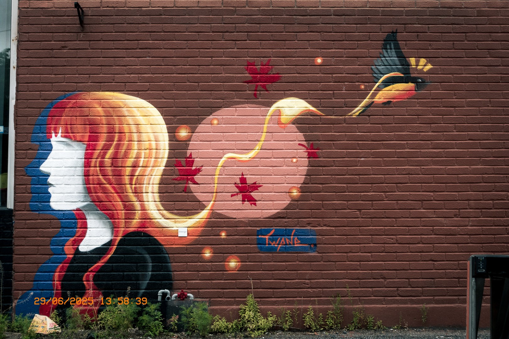 Fresque murale d’une femme de profil avec oiseau et feuilles d’érable.