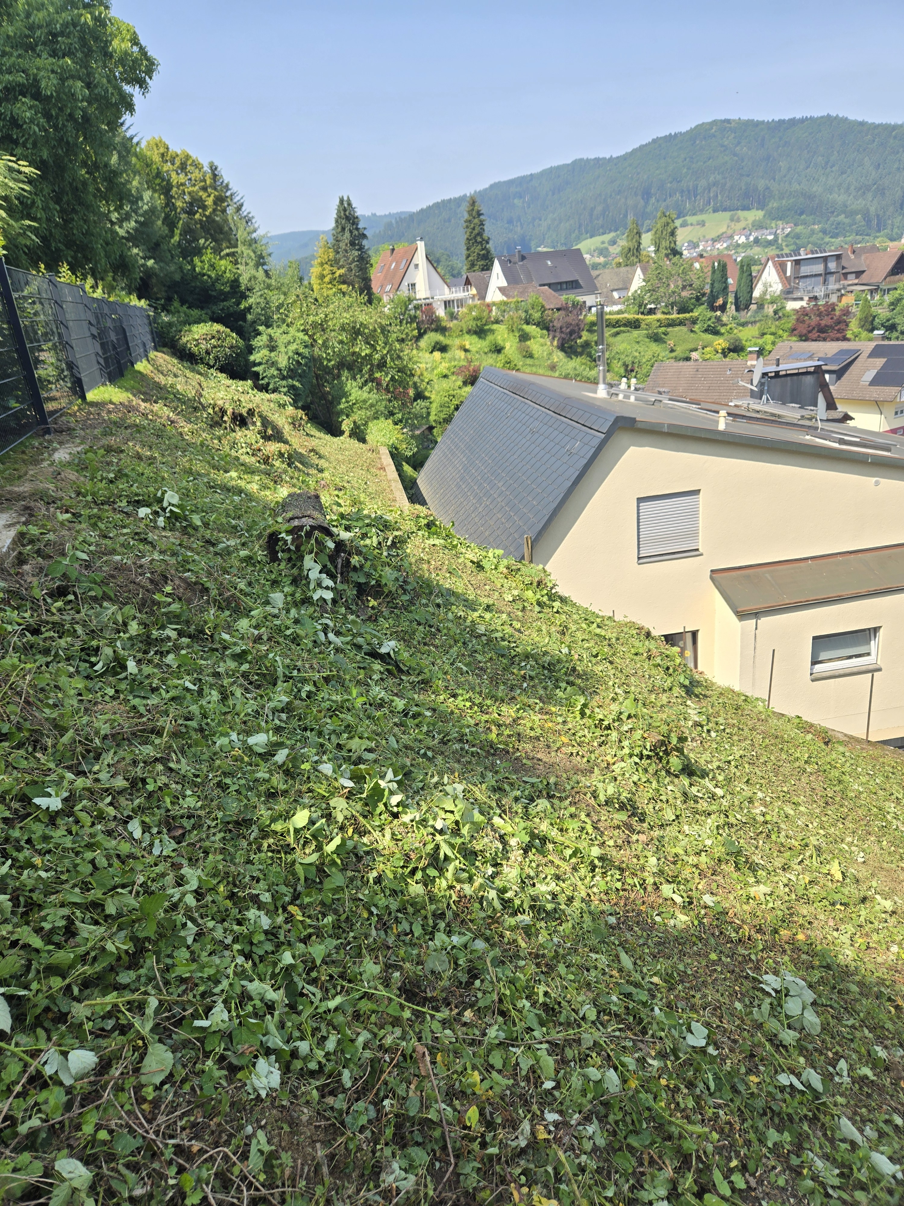 Professional road cyclist riding at the front of a group on a forest road wearing a turquoise racing kit.