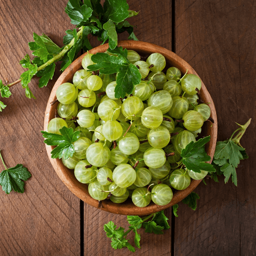 gooseberry