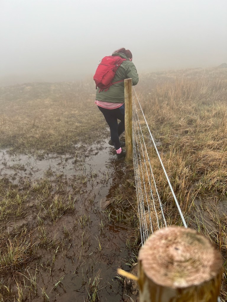 April straddling the fence as she crosses a very wet bog.