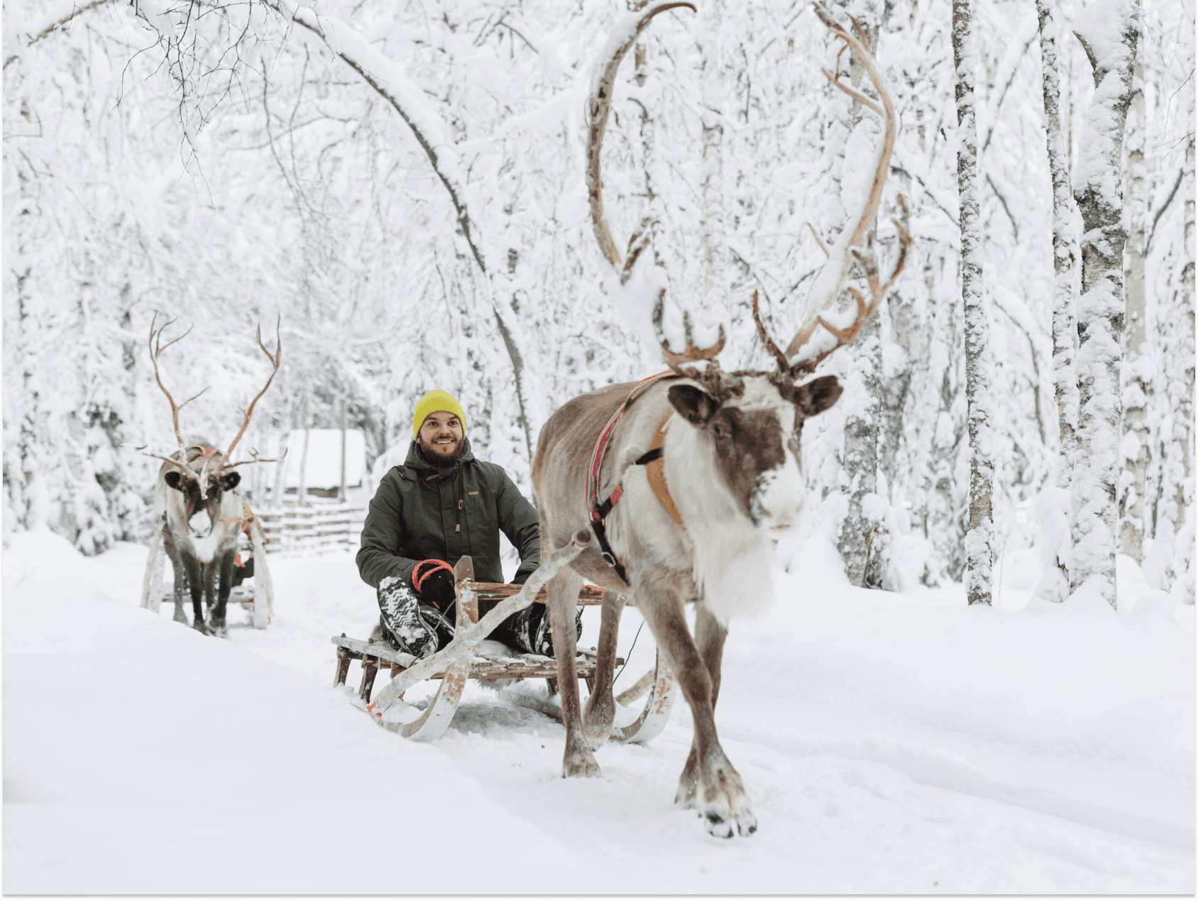 Credit: Visit Finland, Juho Kuva