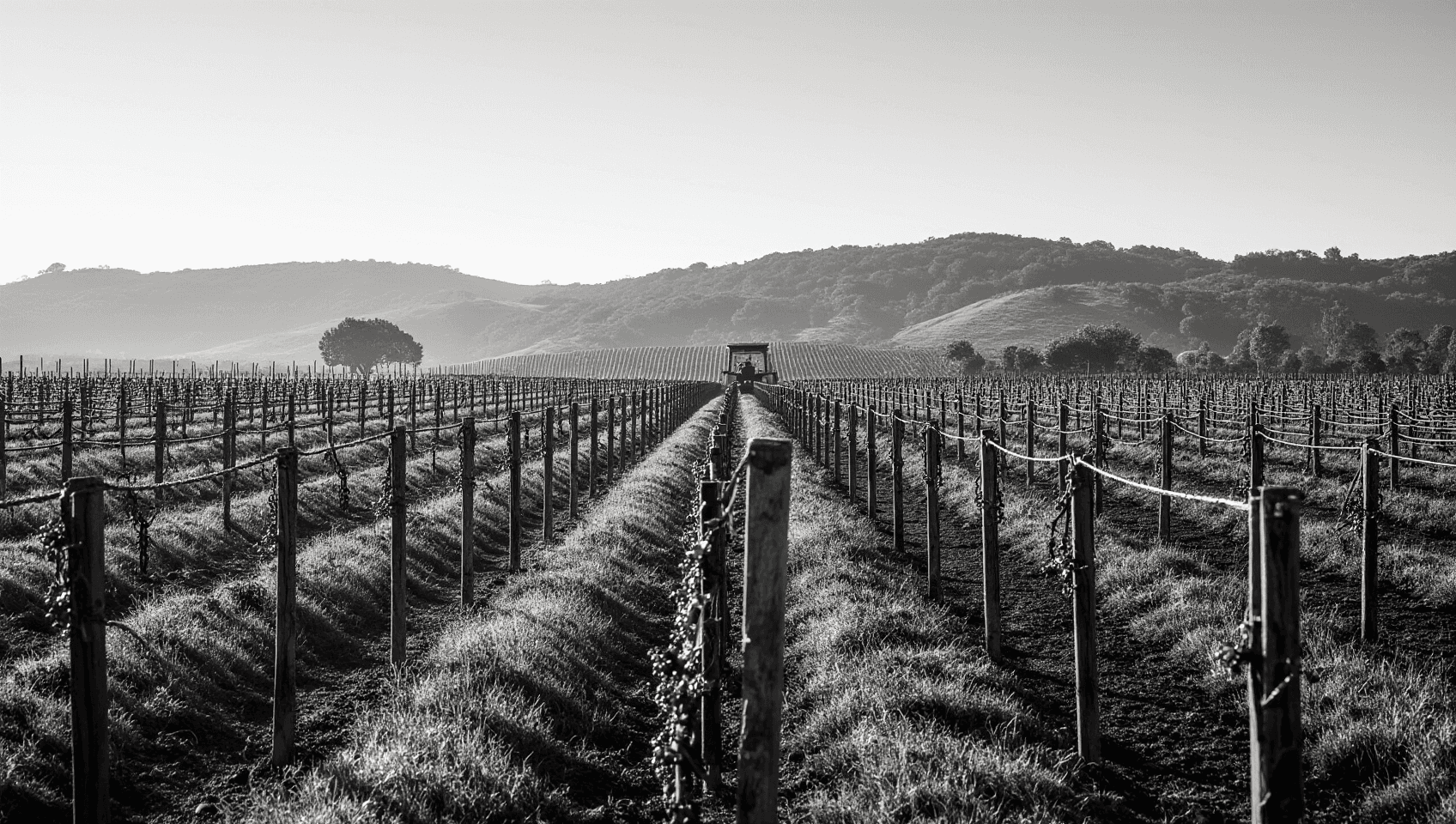 project rich text image