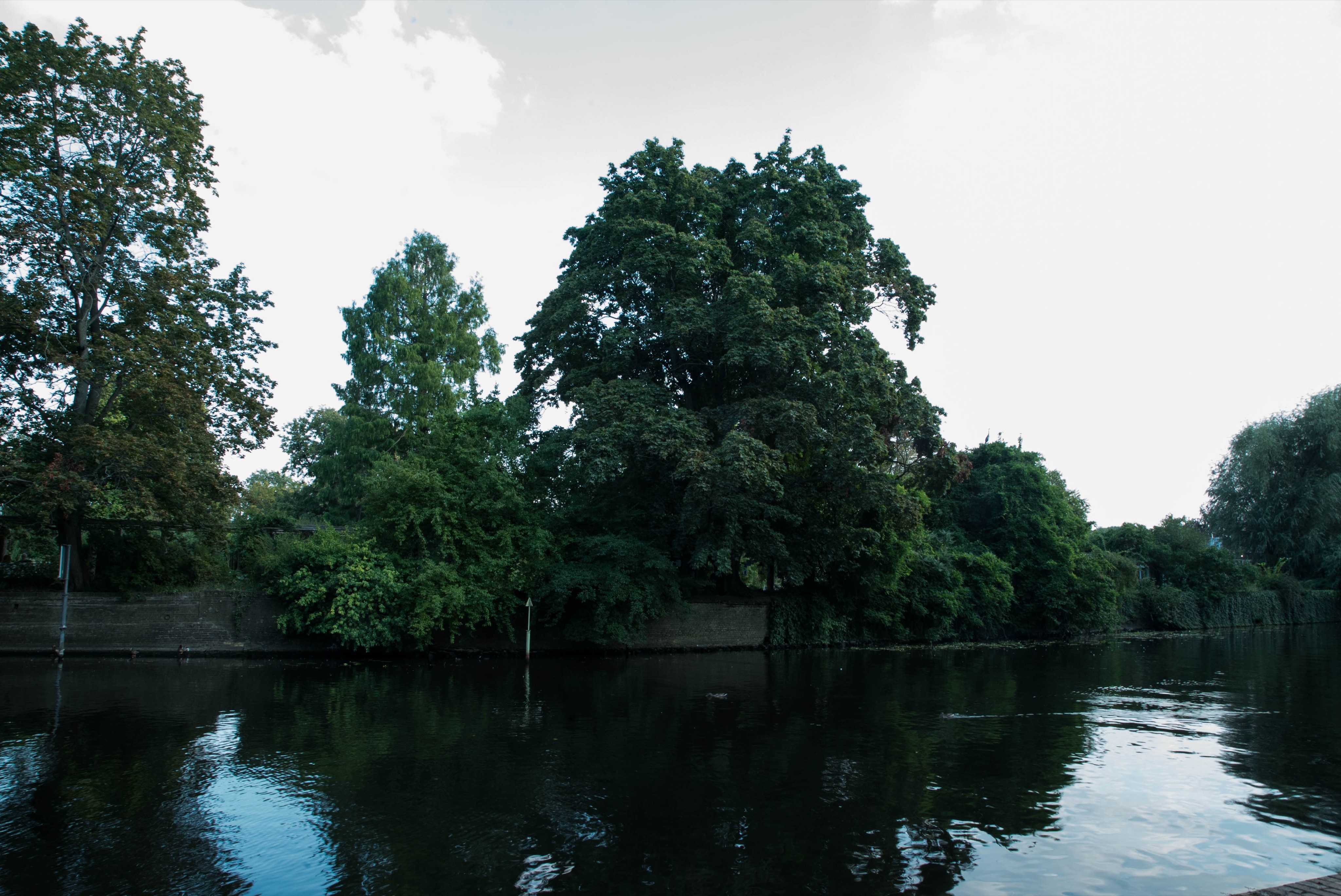 Waterfront landscape showing calm water, trees, overcast sky in natural daylight