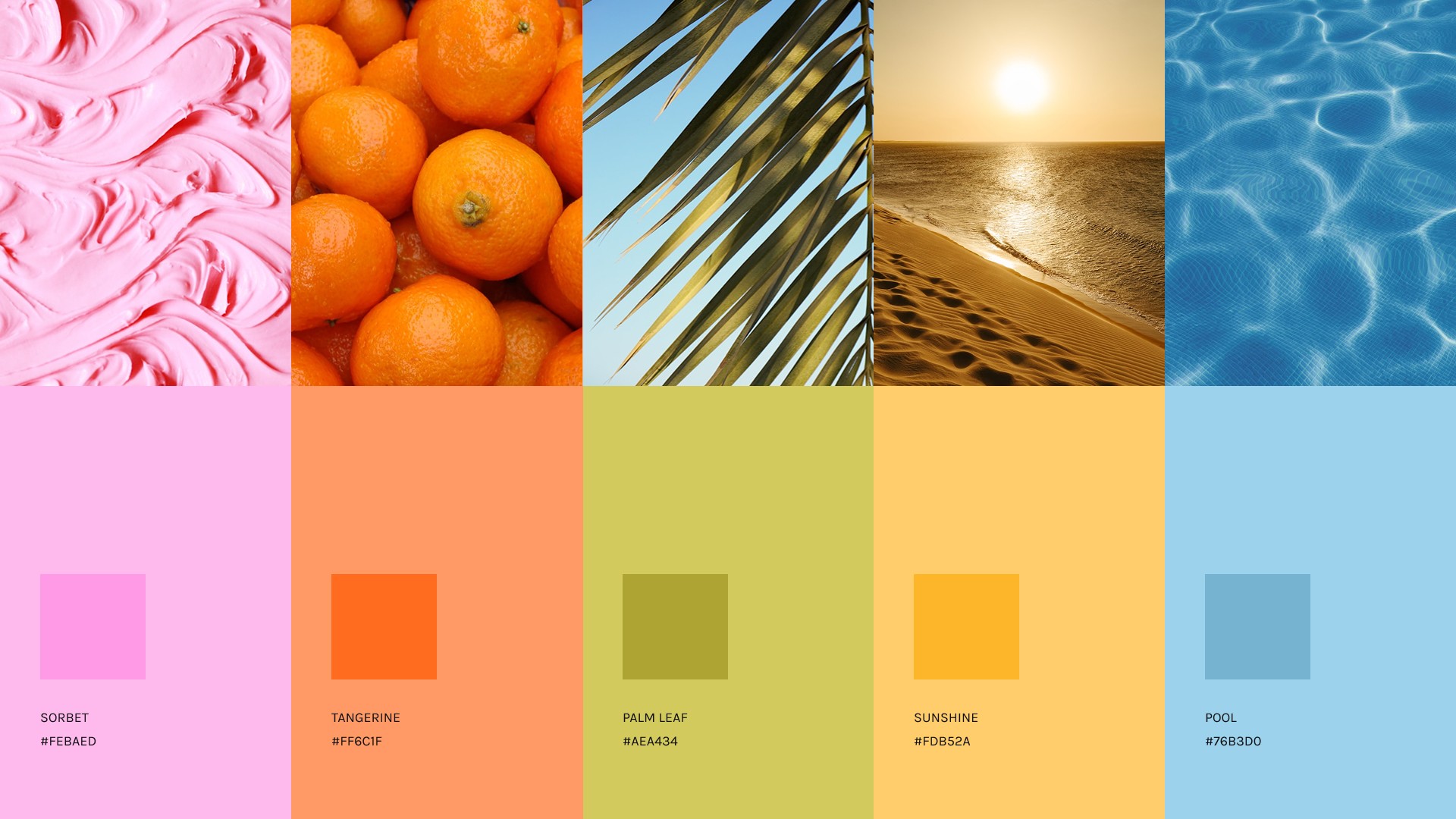 palette de couleurs de la marque Graine & Sauge