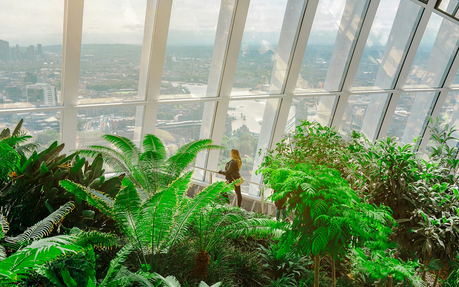 Sky Garden London interior with lush greenery and city view through large windows.