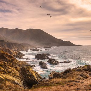 a man wearing glasses and a black shirt