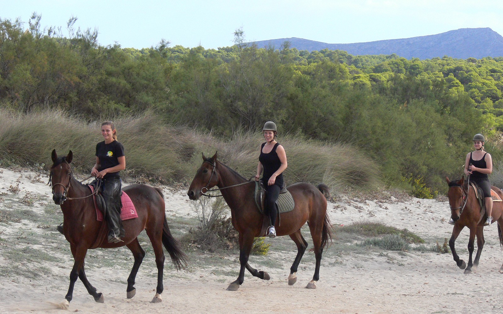 Jinetes a caballo en un sendero de playa arenosa en Mallorca con un exuberante paisaje verde de fondo.