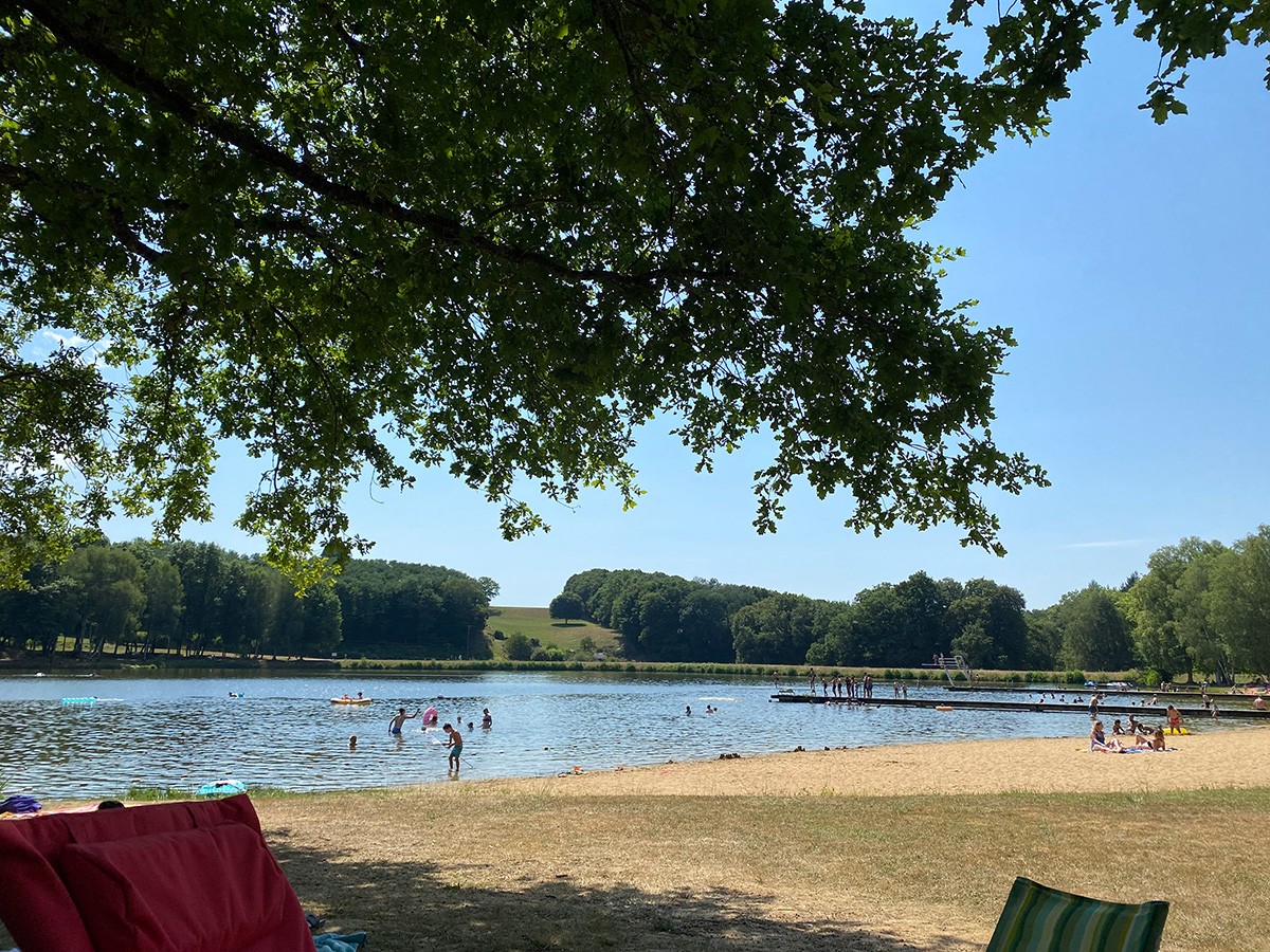 People swimming and relaxing on a sandy beach beside a calm lake, viewed from the shade of a large oak tree on a hot summer day, with wooded hills visible across the water.