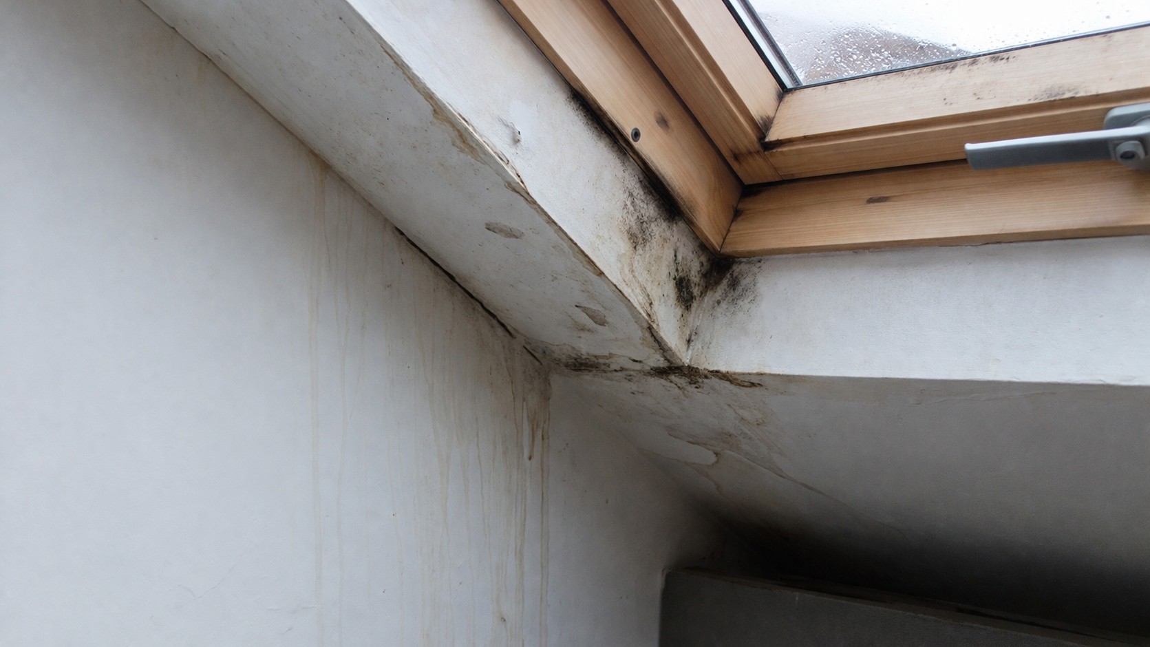 Fuite autour d’un Velux avec traces d’humidité, infiltration d’eau, moisissures noires et plafond abîmé autour de la fenêtre de toit