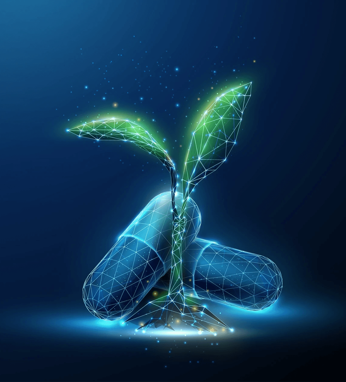 Business Growth