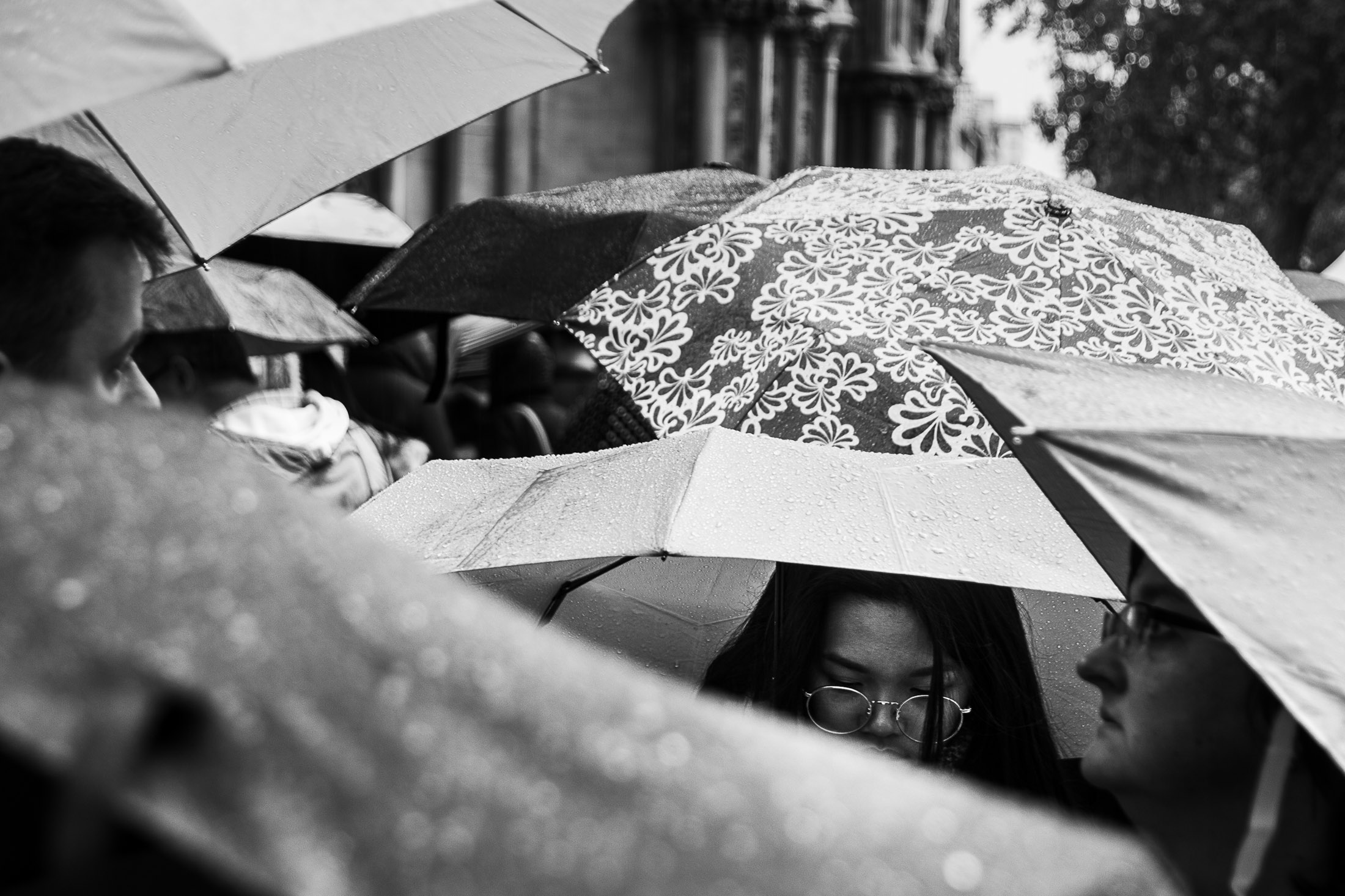 Rain‑soaked umbrellas cluster together in a street scene; one umbrella with a floral pattern stands out while a woman wearing glasses is partially visible beneath another.