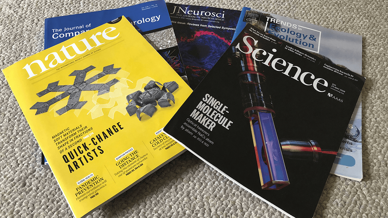 Importance of Journal Impact Factors