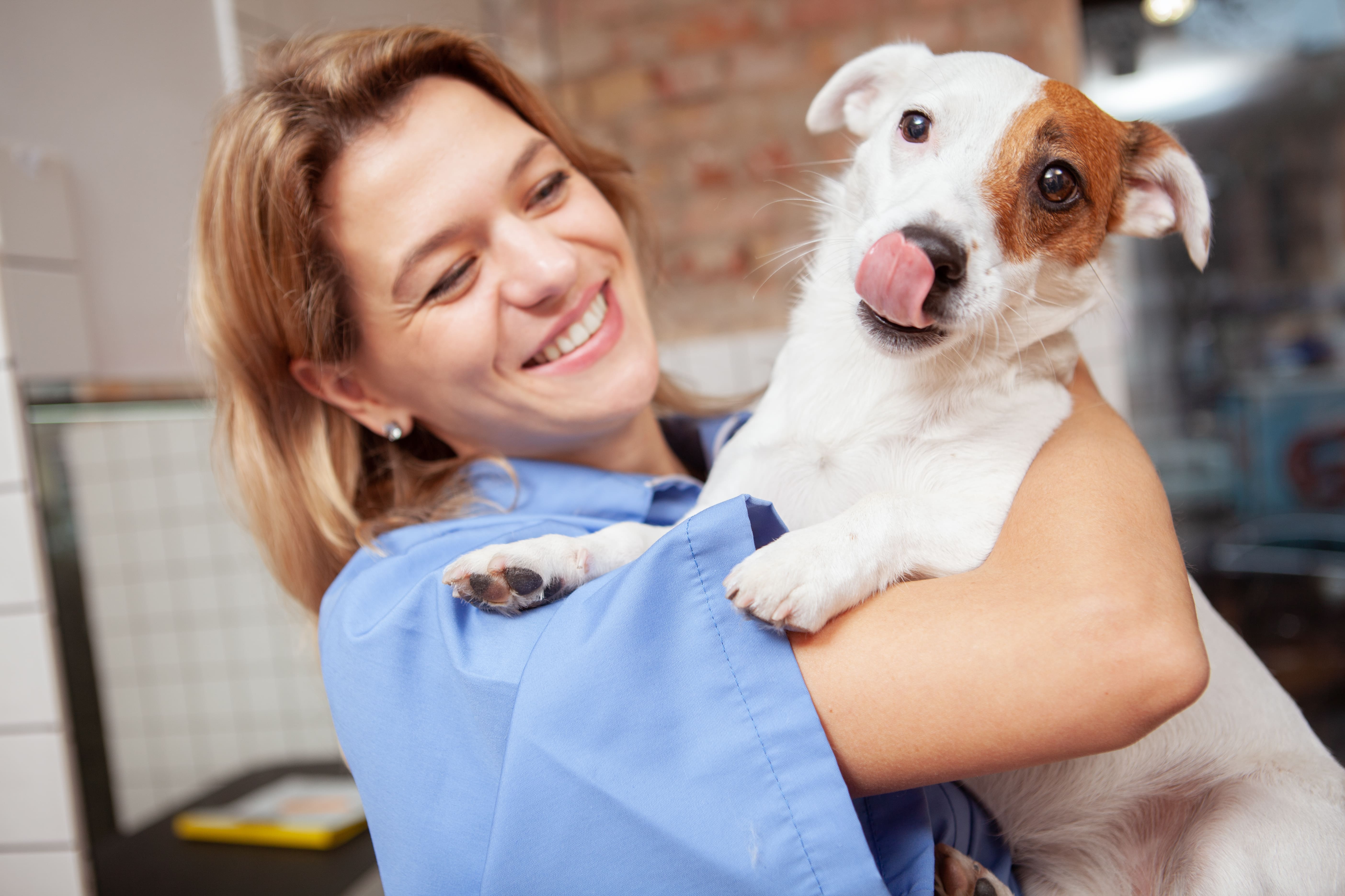 a happy veterinarian holding a cute puppy