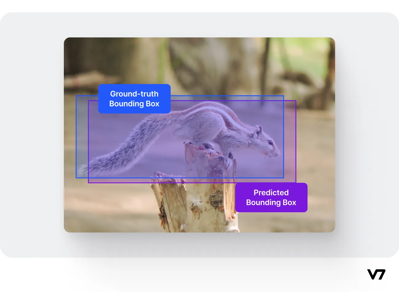 Visual representation of IoU's bounding box