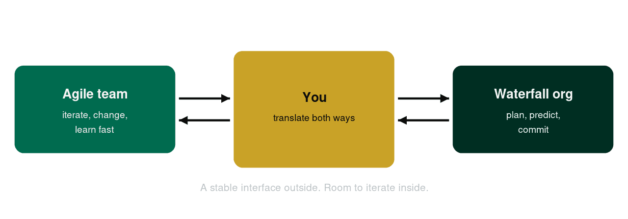 An adapter diagram with the Scrum Master in the middle translating both ways between an agile team and a waterfall organization.