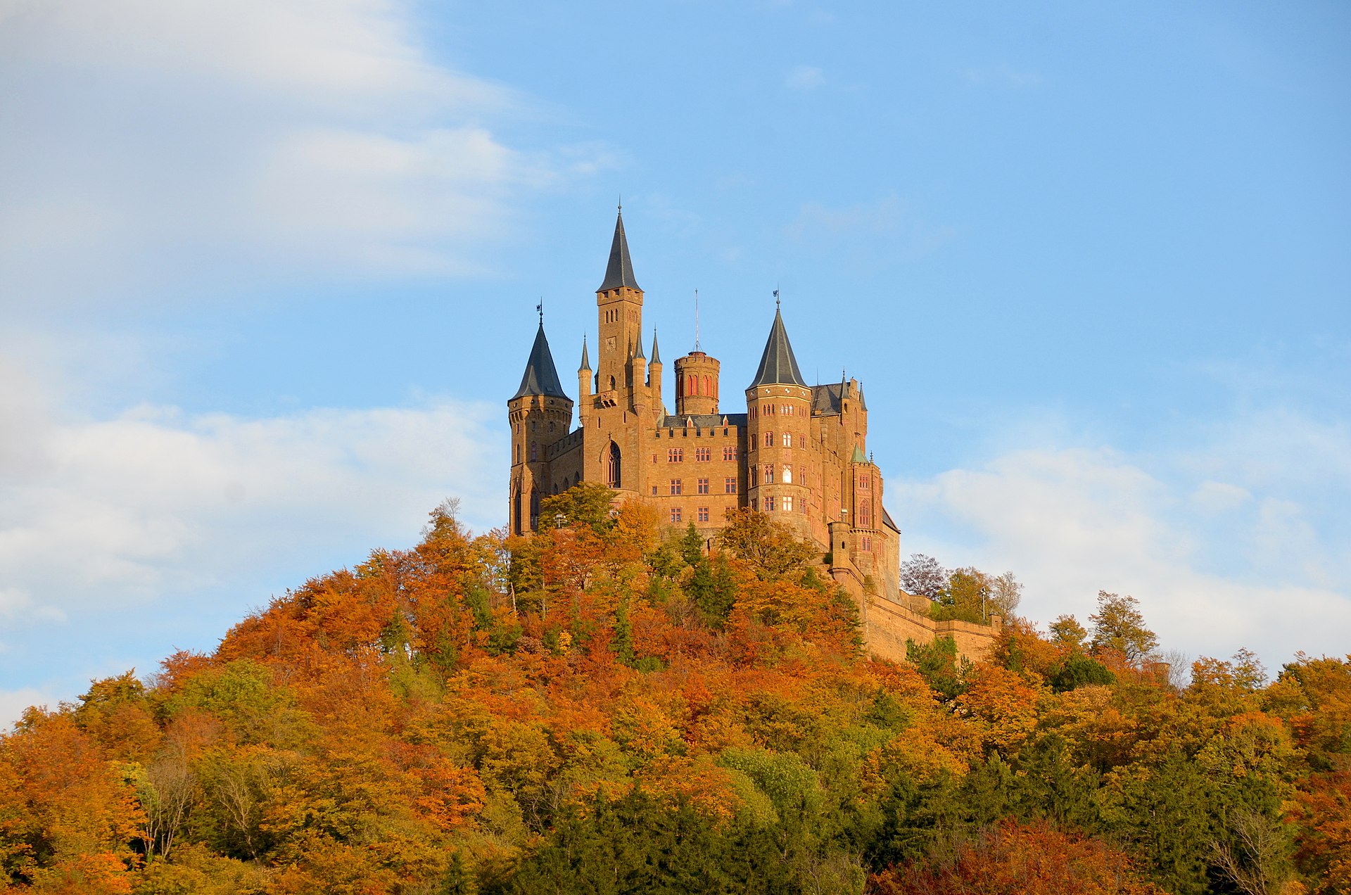 a tree with pink flowers in front of a store