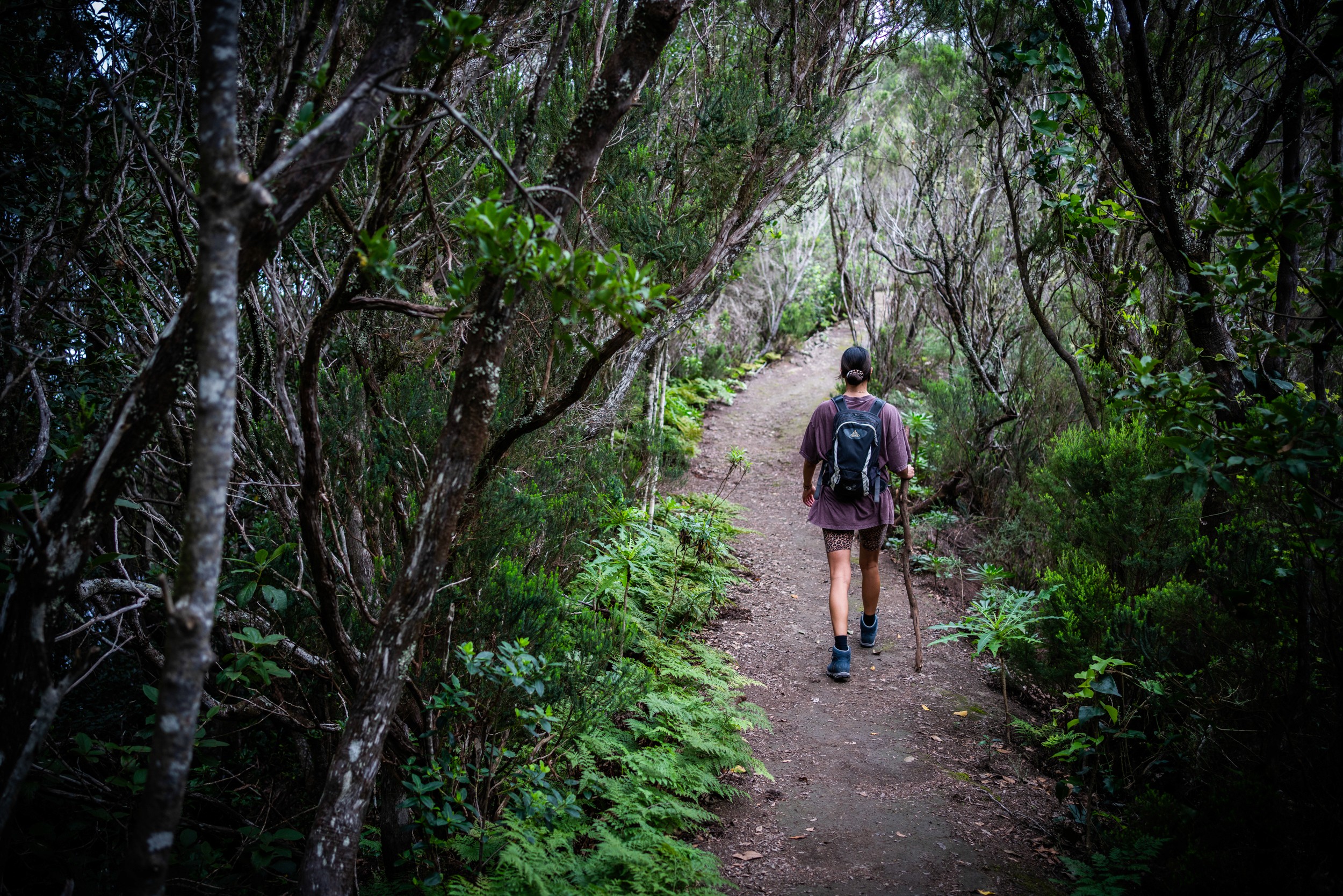 Tenerife hike