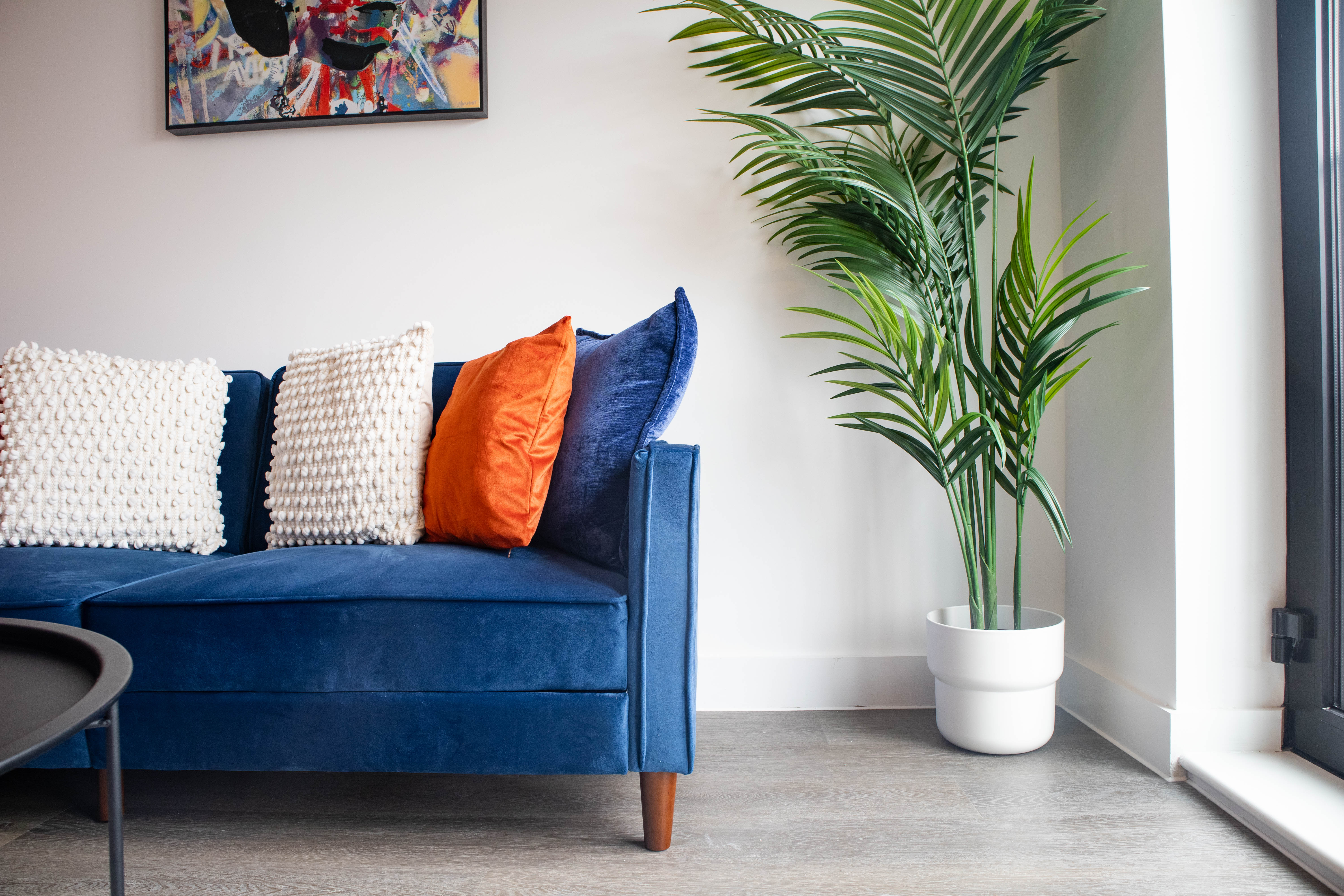 Bright blue couch with large plant in an Airbnb