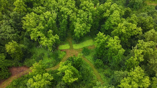 Photo 9 of 75± Acres Cannon Road, Ellenboro