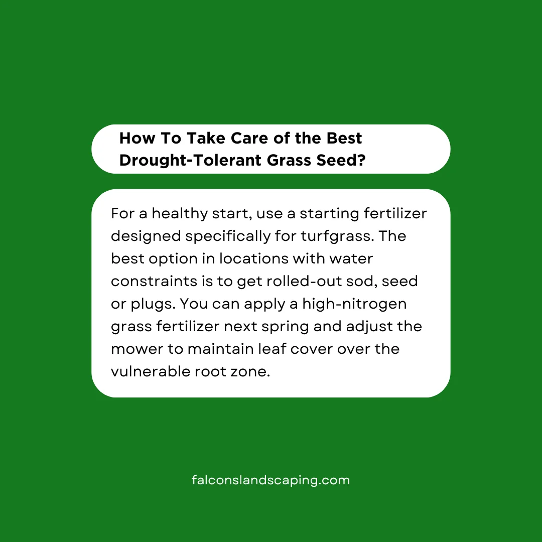 An answer post explaining how to care for best drought-tolerant grass seed