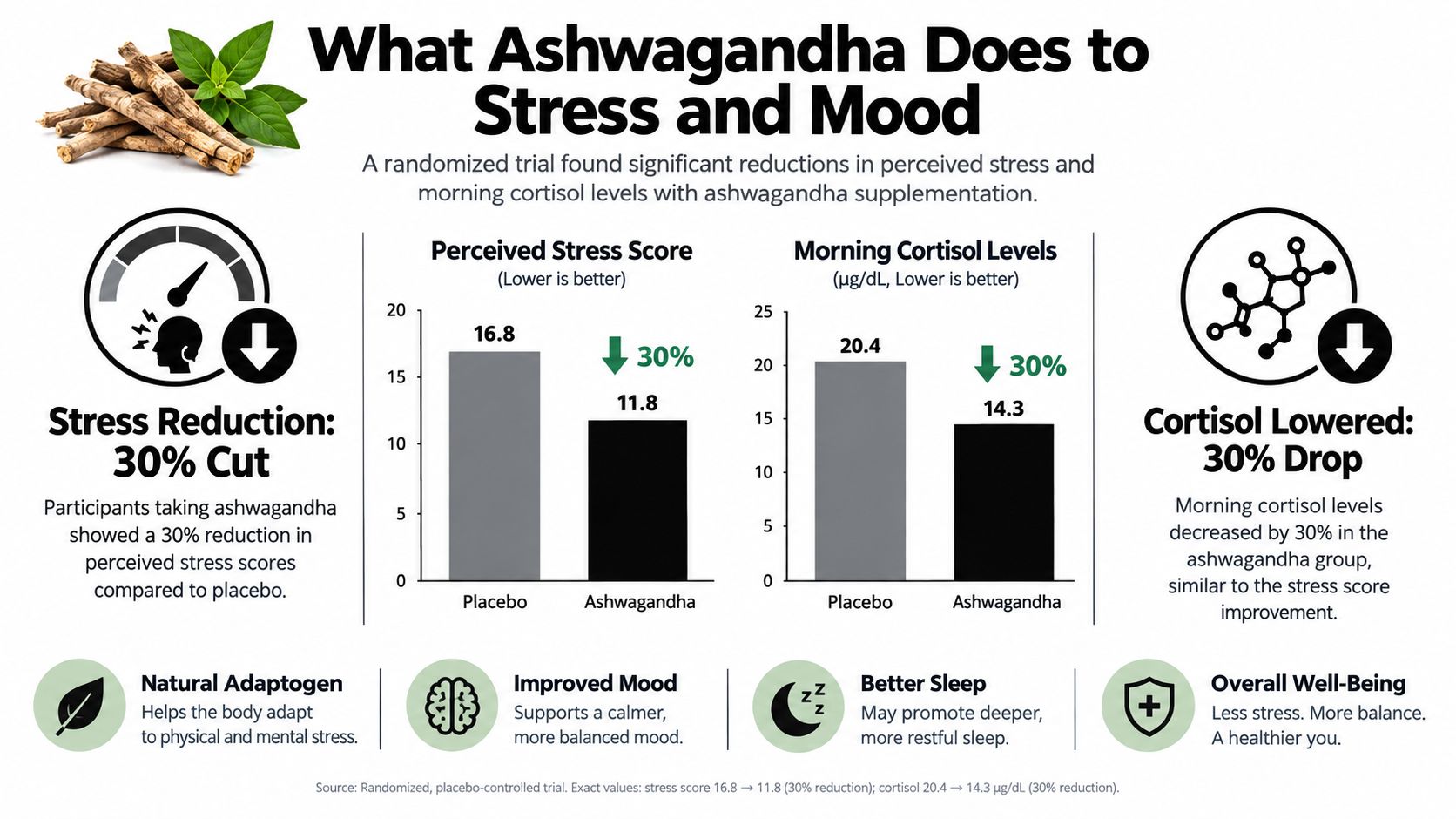 An infographic illustrating how ashwagandha supplementation reduces perceived stress scores and morning cortisol levels by thirty percent.