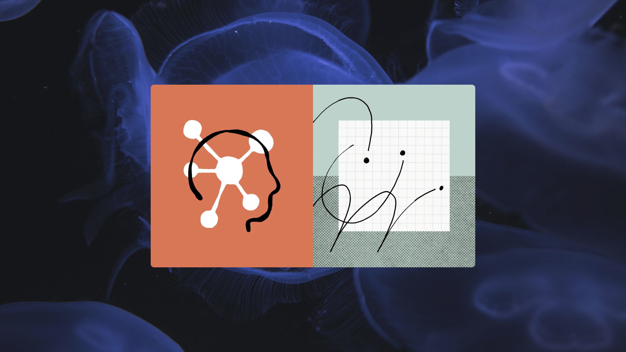 A winding road cuts through rocky terrain, surrounded by patches of green grass and illuminated by sunlight.