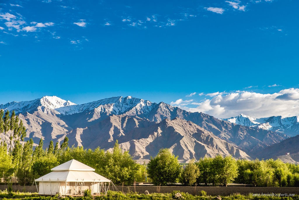 Chamba Camp, Thiksey