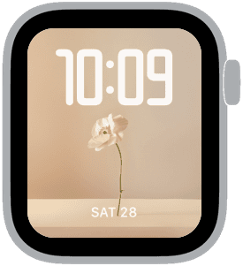 bloom still life Apple Watch face preview 3 featuring floral, modern, easter, and spring.